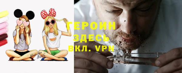 гидра Вяземский